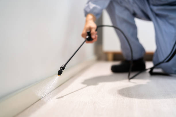 Licensed Pest Control service in Powhatan Point, OH - Show Me Pest Control