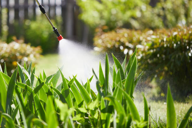 24/7 Emergency Wasp Removal experts in Powhatan Point, OH