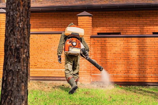 Top rated local Wasp Removal specialists in Powhatan Point, OH